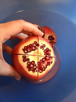skala ett granatäpple skala ett granatäpple